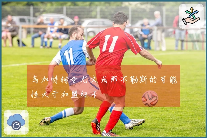 乌加特转会尤文或那不勒斯的可能性大于加盟纽卡
