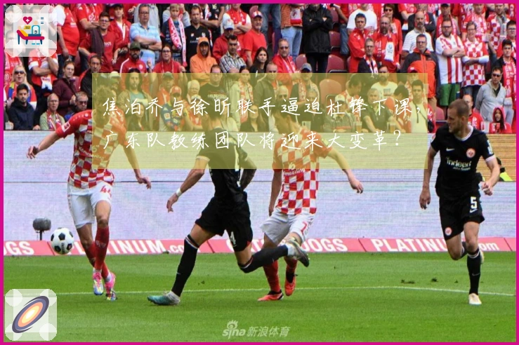 焦泊乔与徐昕联手逼迫杜锋下课，广东队教练团队将迎来大变革？
