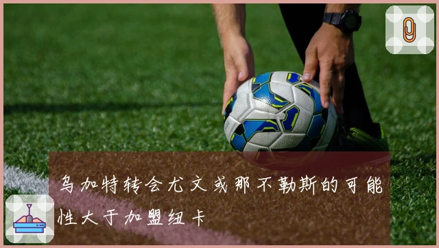 乌加特转会尤文或那不勒斯的可能性大于加盟纽卡