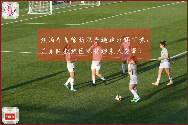 焦泊乔与徐昕联手逼迫杜锋下课，广东队教练团队将迎来大变革？